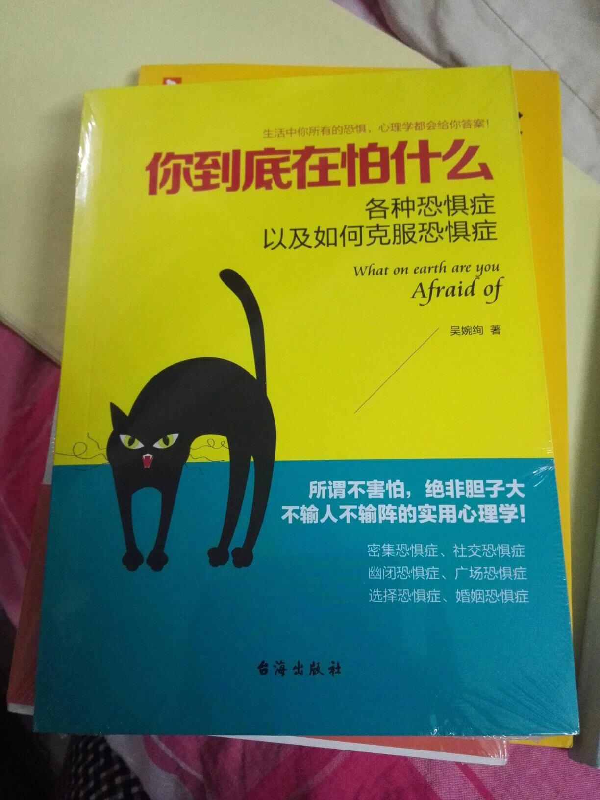 是一本很不错的感觉正版书记，适合心理学专业人士和资深社会学家阅读的正版书籍。