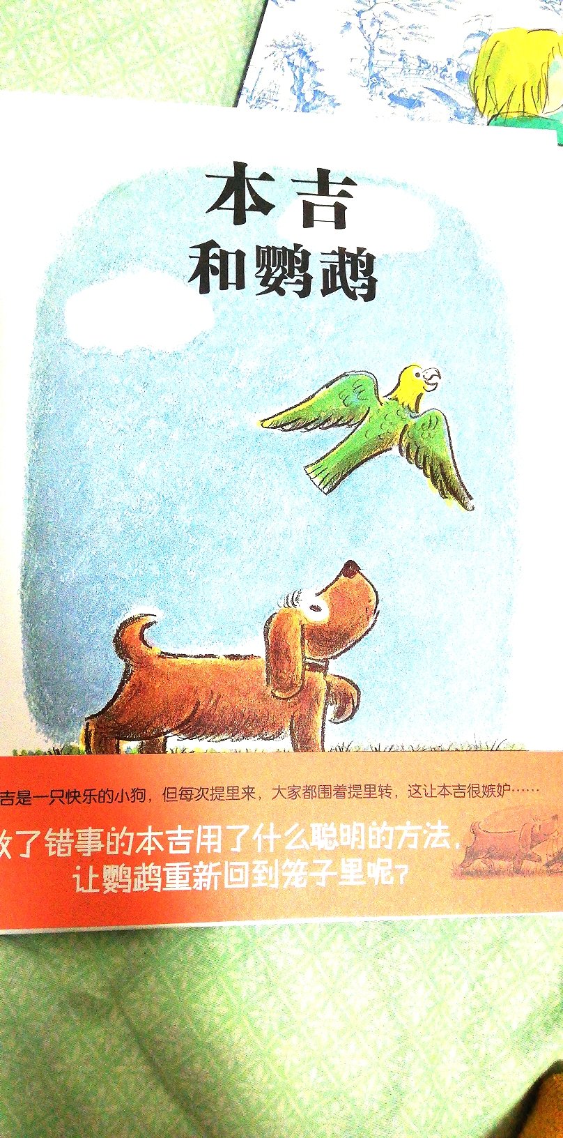 儿子最喜欢狗狗了，这本书挺不错的，蒲蒲兰绘本从来都不会让人失望！