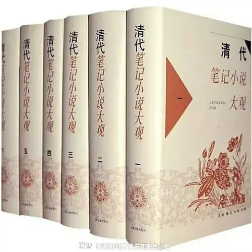 618大促，终于收齐了，清代笔记小说是文学宝库里一颗璀璨的珍珠，题材丰富、内容翔实、构思奇异。