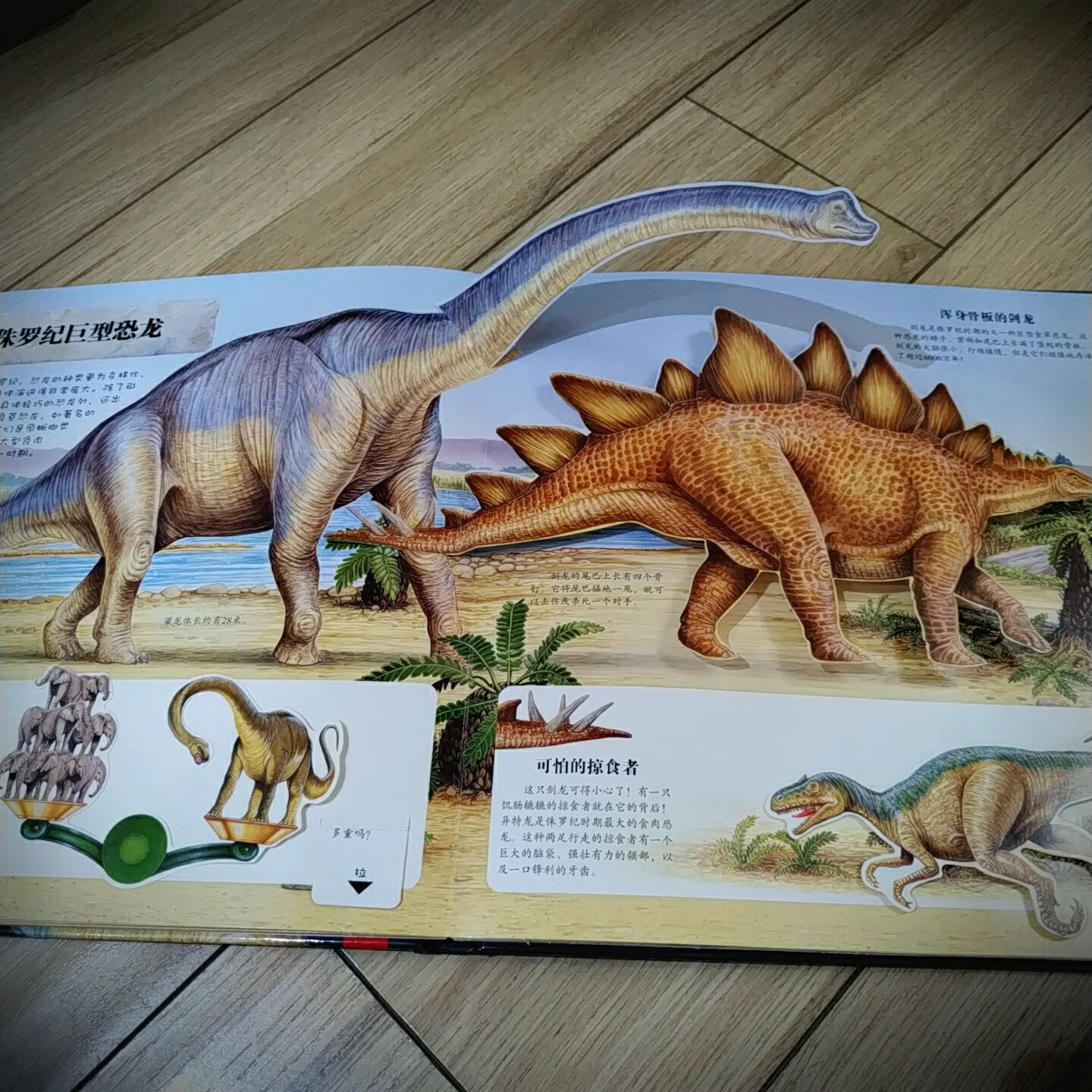 女儿是个小小恐龙迷，之前买的恐龙大陆系列已经翻烂了。这次做活动给她的书架更新一批书。