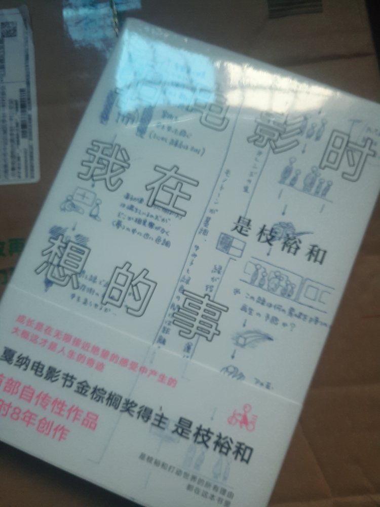 是枝裕和是位电影大师，他的作品，值得我们慢慢的品味，也是只有日本那样的艺术环境，才能孕育这样的大师，而我们不能。