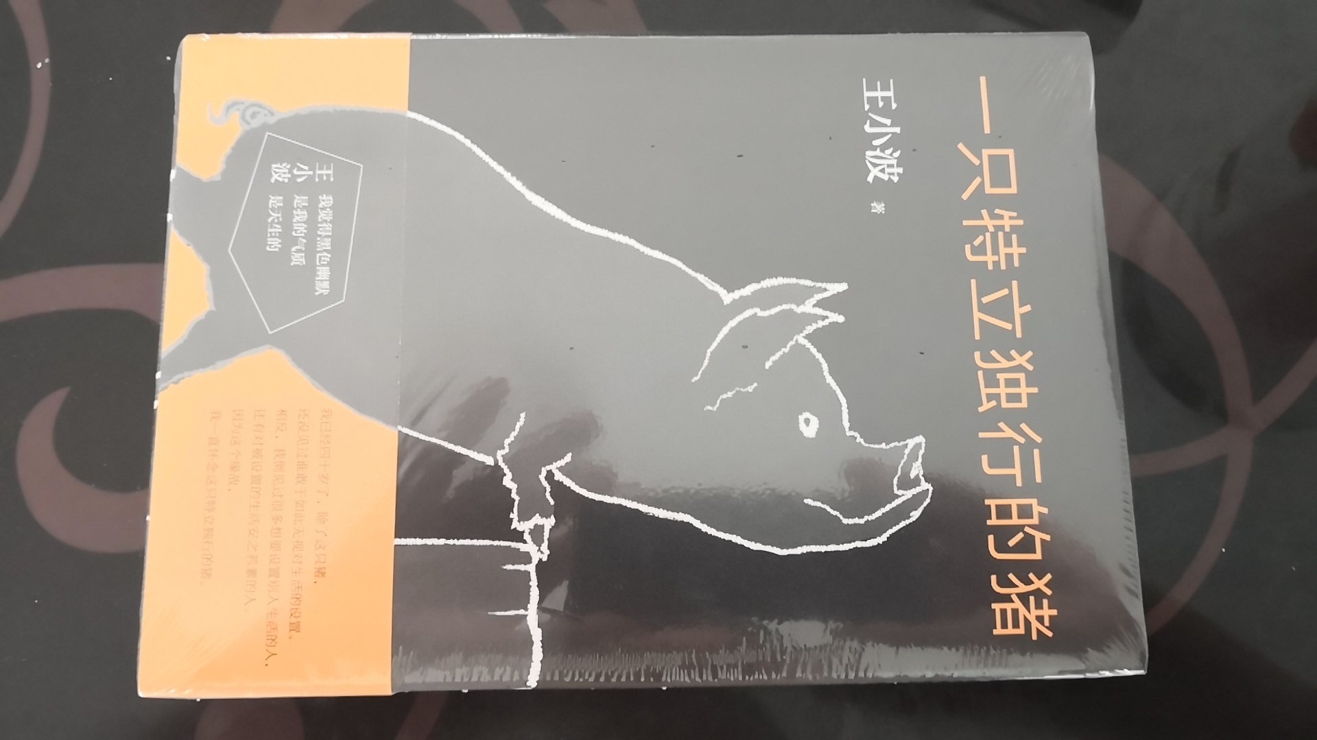 王小波的作品，挺著名的一部，先收着，慢慢读