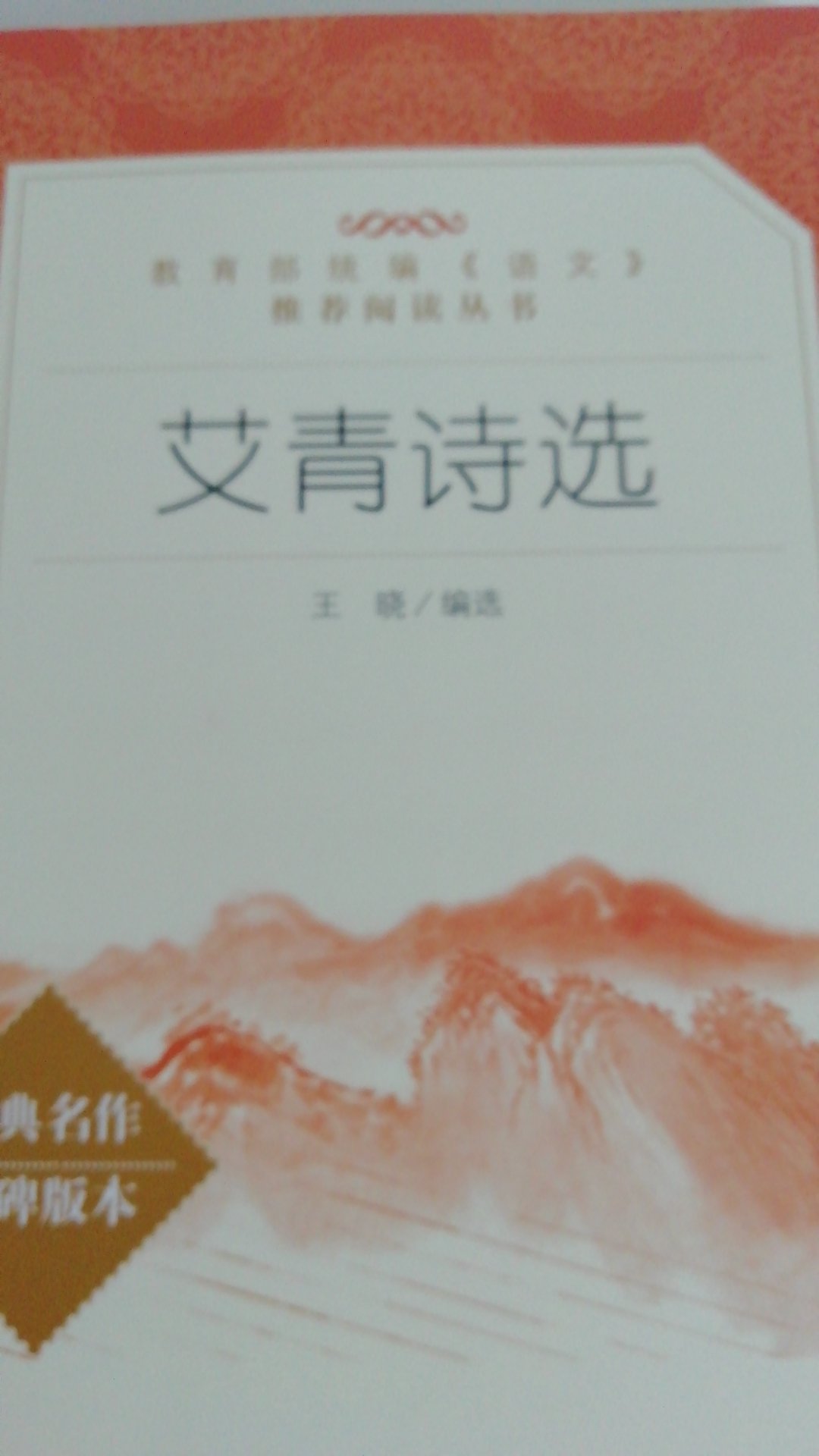 教育部统编《语文》阅读丛书，对孩子成长非常有益，艾青生动形象。好书！