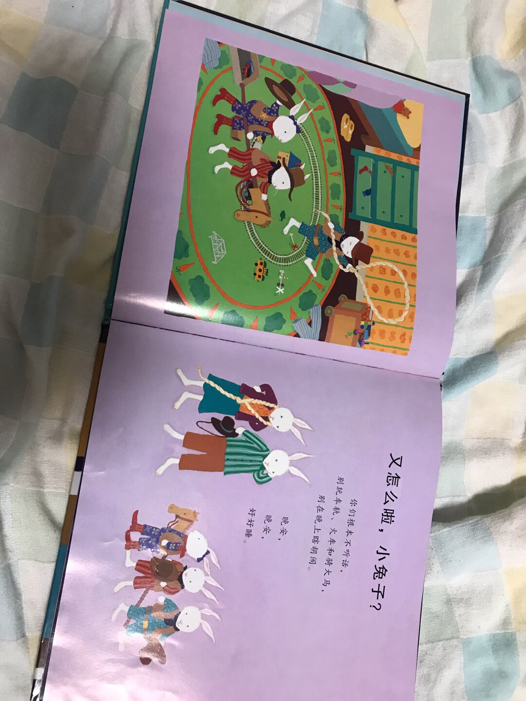 很可爱的一本书，讲小兔子们晚上贪玩不睡觉的故事，画风不错。宝宝很喜欢，而且会发现到画本上的一些小细节，推荐购买。