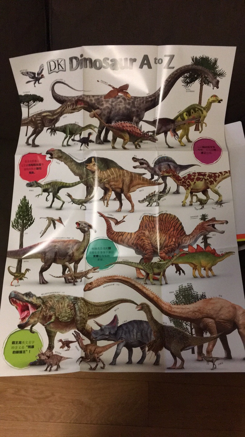 这本也是DK恐龙的书，还送一张大海报，赞??