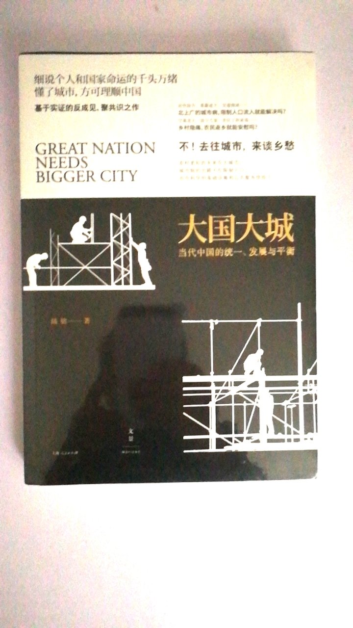 中国的城市化面临很多的问题，作品有利于了解我们中国城市的发展。