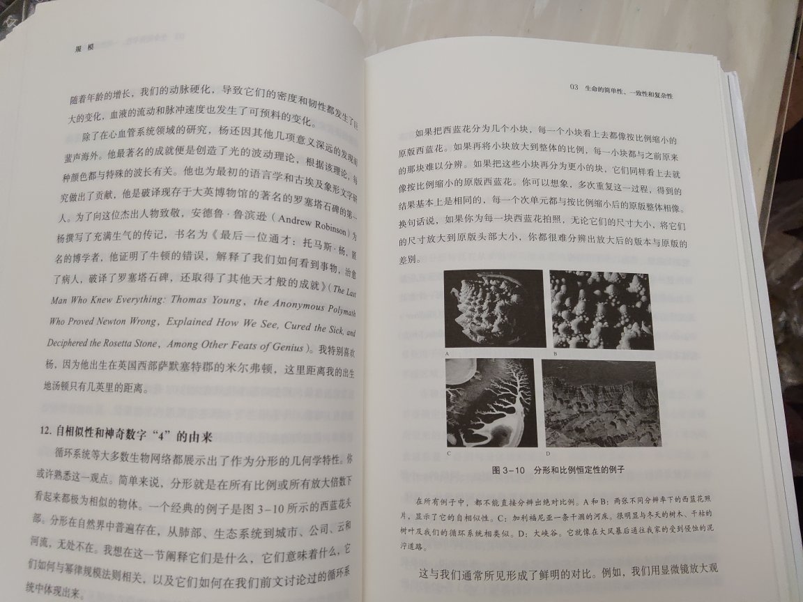 用数学，物理学的方法解读人类活动的成长与消亡的规律。是一部十分深邃的思想书籍。值得深入研究。