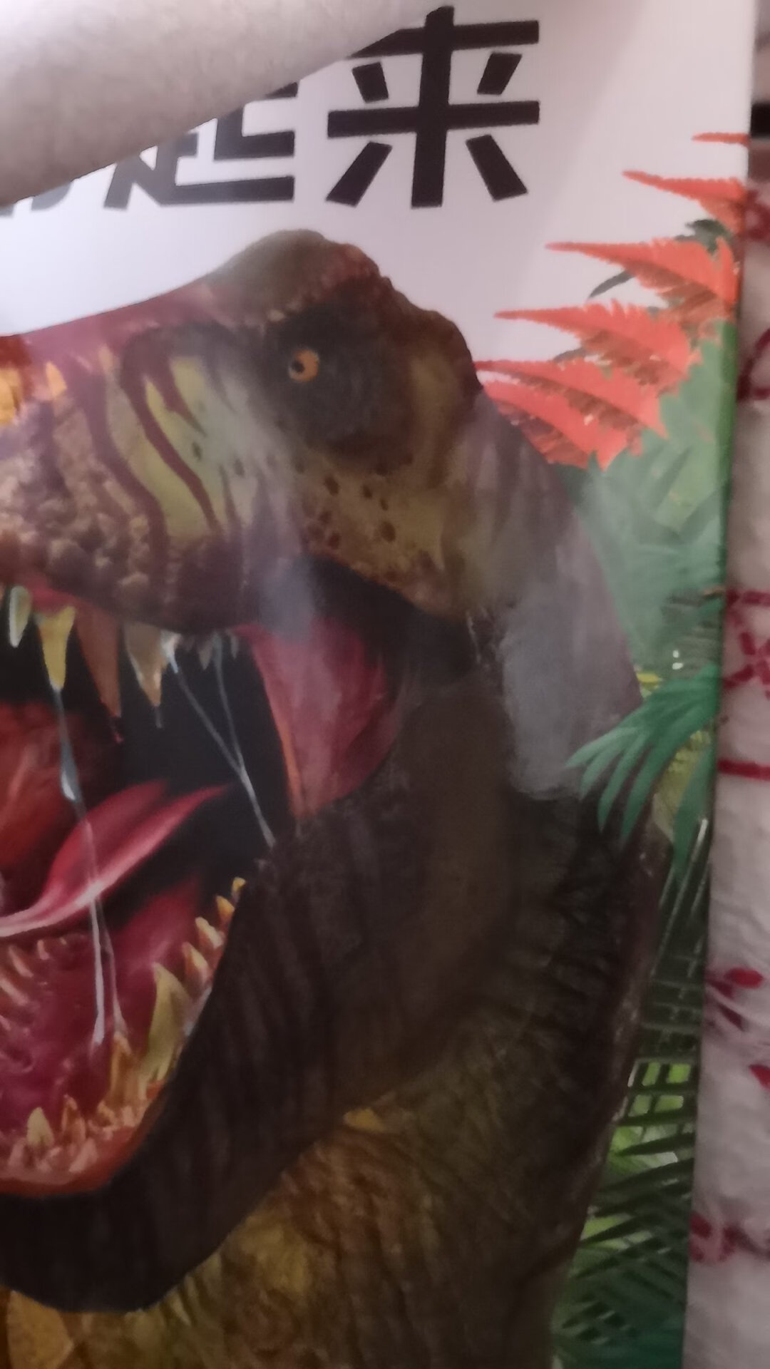 宝宝非常喜欢恐龙，这本书是他的最爱，爱不释手，太棒了，非常喜欢！