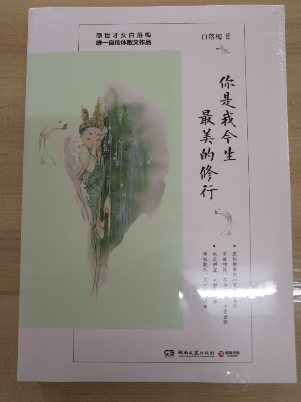 圖書封面優美 文筆秀麗 風格唯美 真心惹人喜愛