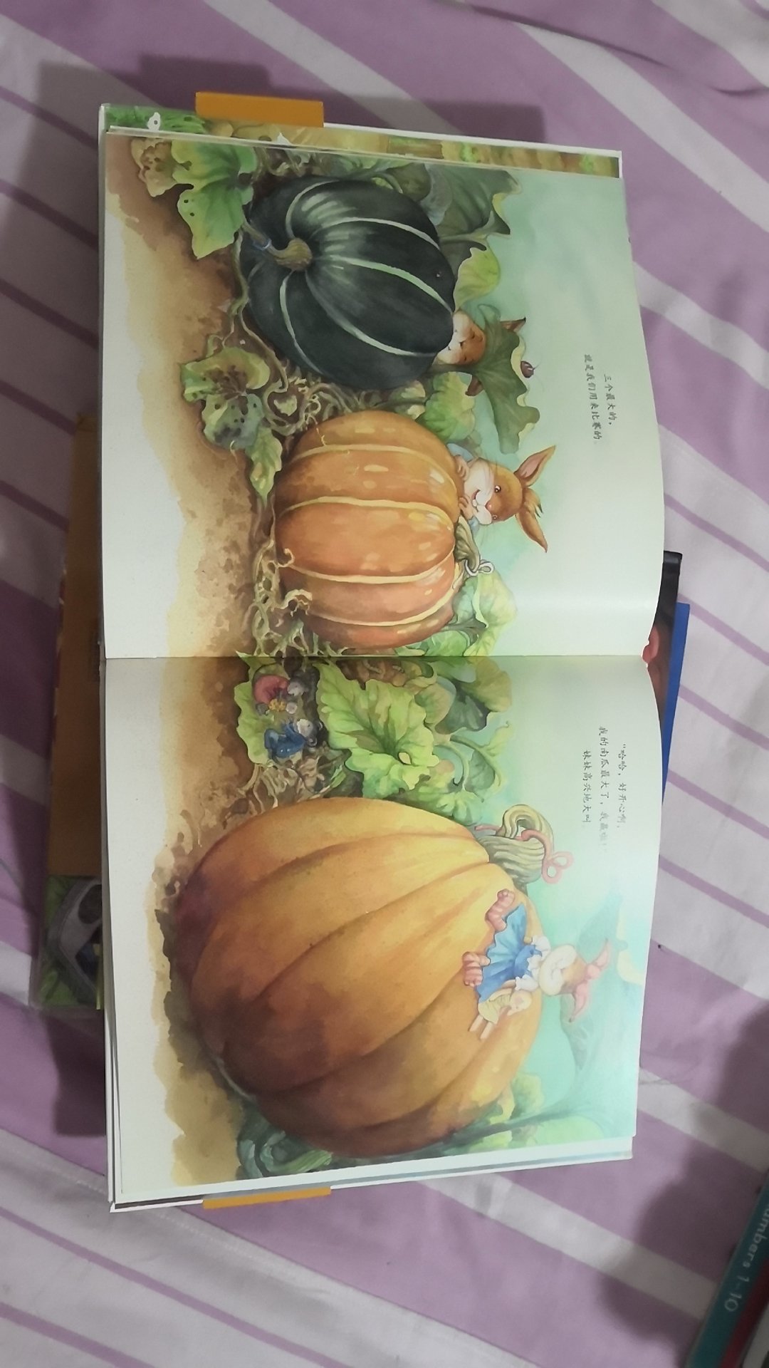 妹妹的大南瓜   是一本非常有爱的绘本，特别适合家里有两个孩子的家庭哦。真心喜欢书中那种兄妹之情。而且画面十分唯美哦！建议阅读！