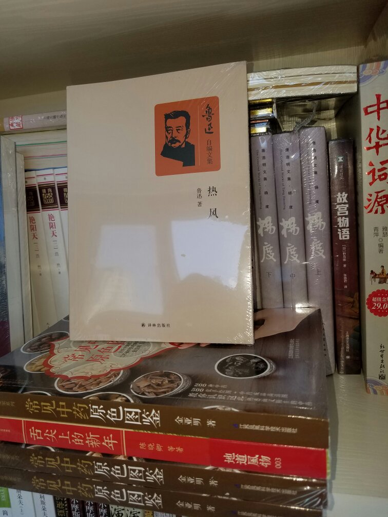 热风》收作者1918年至1924年所作杂文四十一篇。有鲁迅在《新青年》的《随感录》中做的一些短评。除几条泛沦之外，有的是对于扶乩，静坐，打拳而发的；有的是对于所谓“保存国粹”而发的；有的是对于那时旧官僚的以经验自豪而发的；有的是对于上海《时报》的讽刺画而发的。