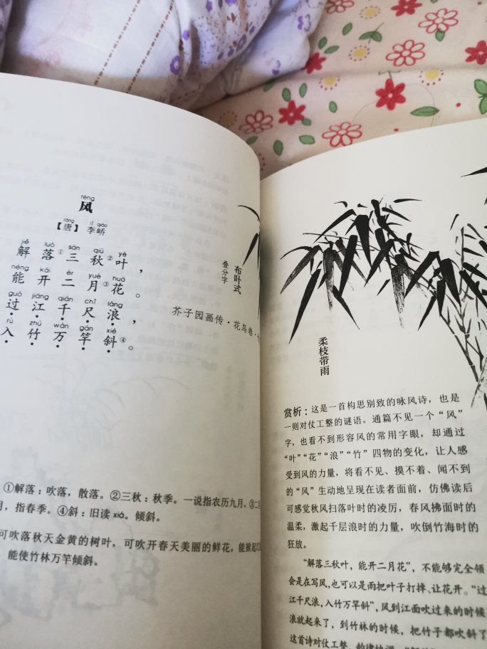 孩子这段时间迷上了中国诗词大会，看得津津有味，干脆买本书再看看，爱不释手！