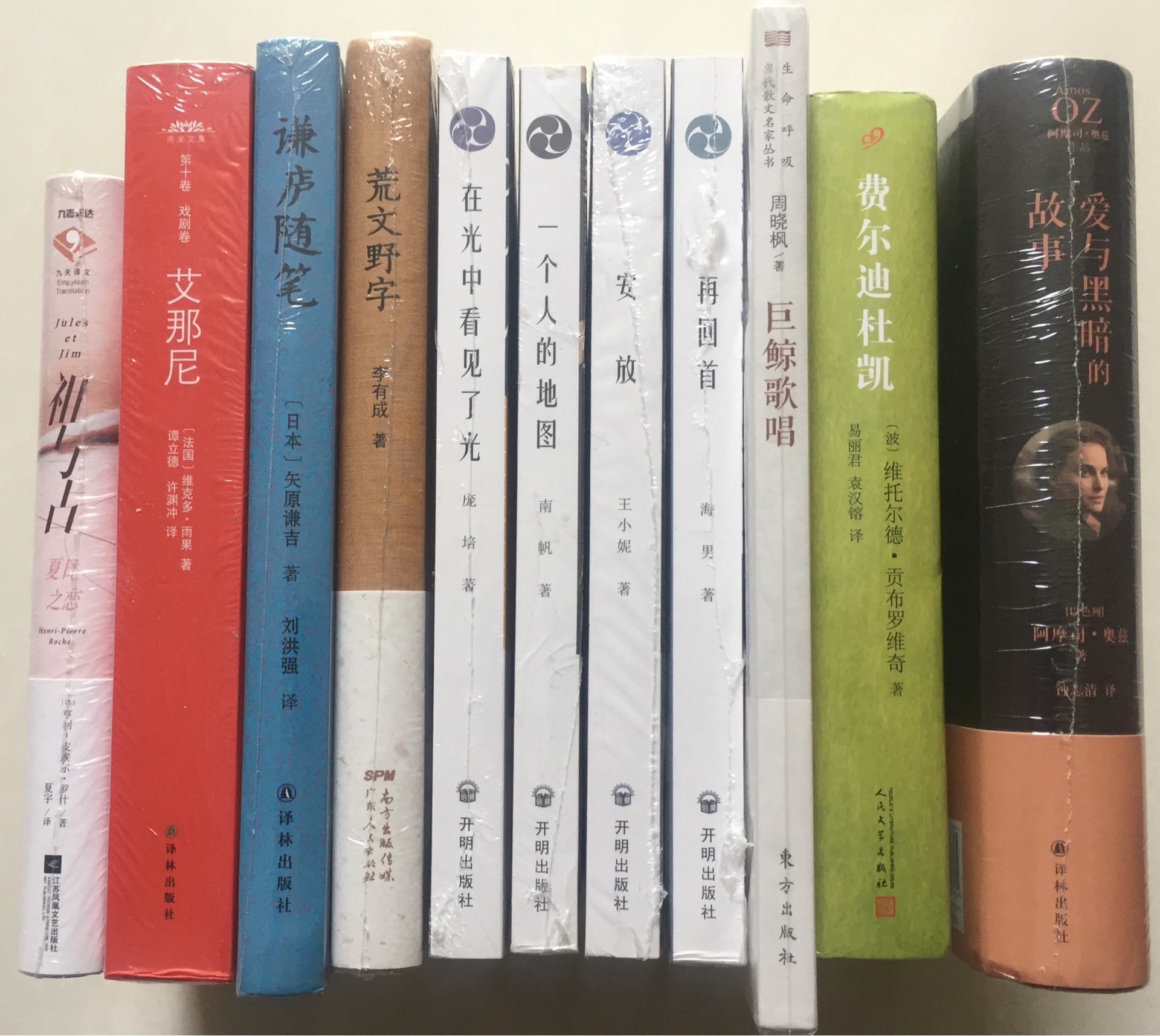 王小妮的散文集开明出版社今年新版
