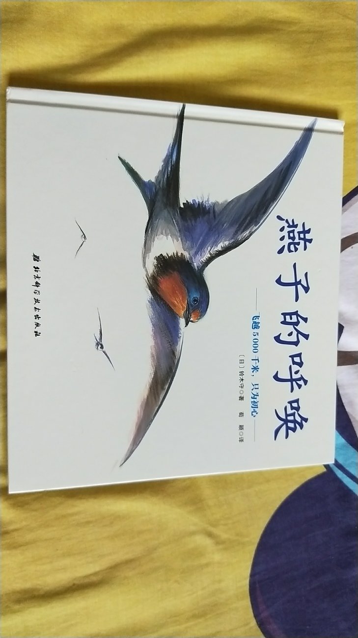 买的时候问儿子喜欢不，一眼就看上《海龟大冒险》，就这一本念了好多遍。书的质量很好，画面清晰精美。