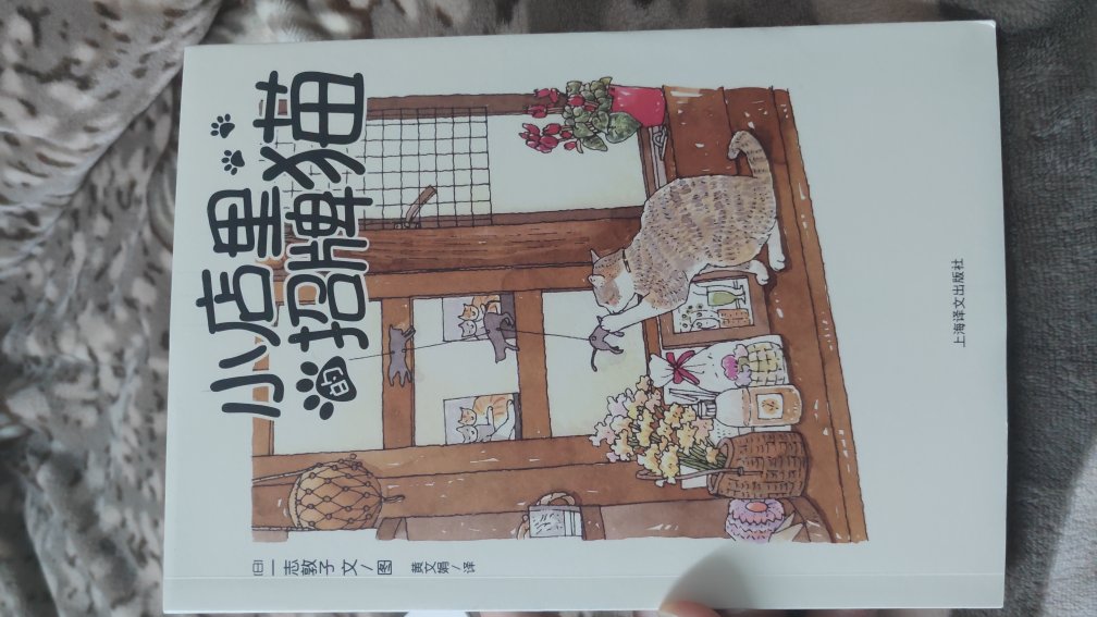 自从养猫以后就爱看跟猫有关的各种书，尤其是漫画