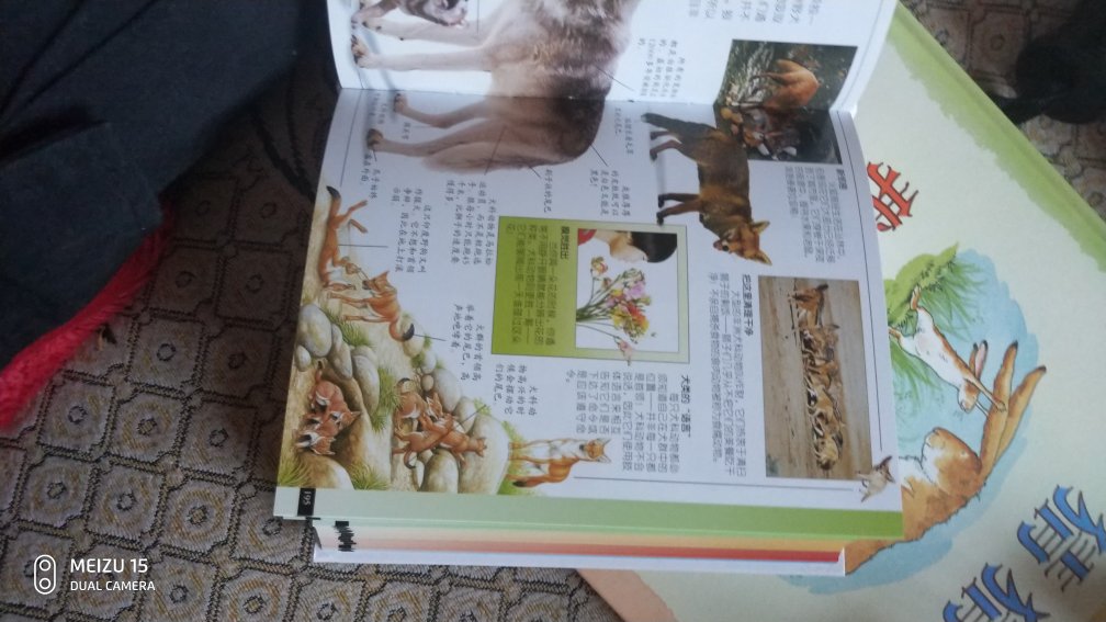 买给小外甥的，dk质量值得信赖，真的很棒，快递也很方便，还是棒棒棒