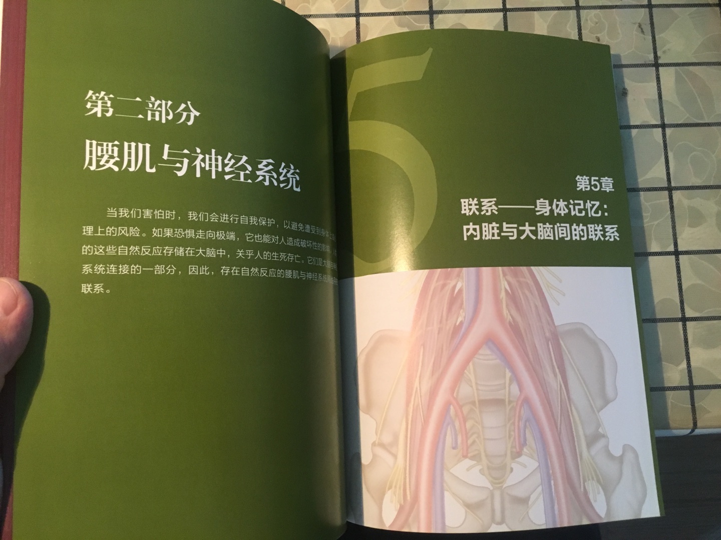 和另一本小册子一起买的，一比就看出区别了。本书内容很专业，也很有指导性，对于我这样刚刚脱离急性腰疼的患者来说太及时了。但是区区128页的书标价60元未免太贵了，主要贵在全书是铜版纸印刷的，其实我感觉大可不必，降低些成本，让更多的人能看到书中的实用内容不是更好么？