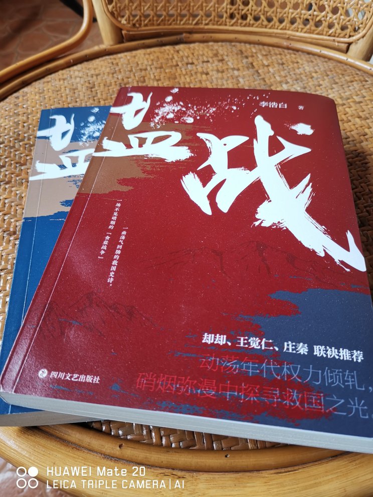 以武汉保卫战为大背景下的谍战小说，情节缜密惊险，人物鲜活可信，读来引人入胜。是一部很值得一看的小说。