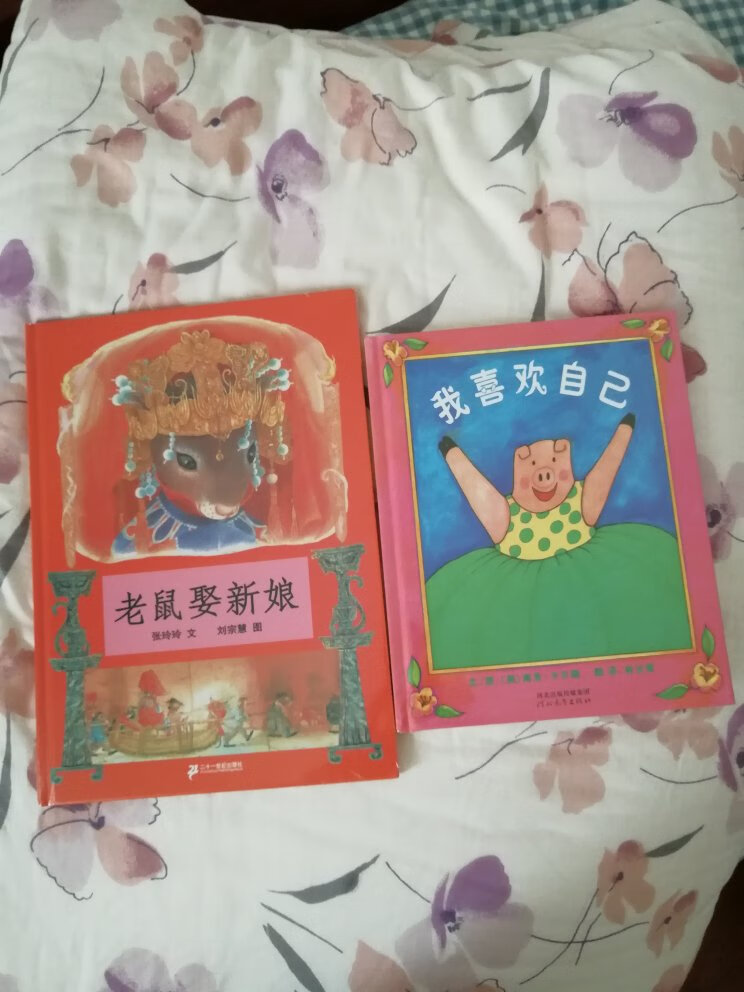 早教老师推荐买的一本适合幼儿哲学启蒙的一本书，喜欢这种画风，等孩子大点就可以给他读了。