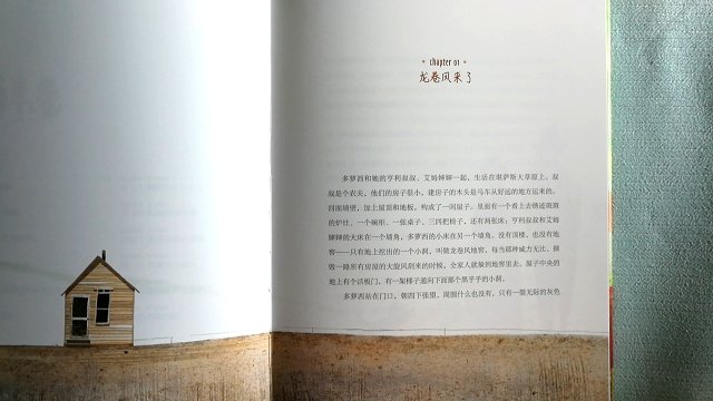 铜版纸印刷，可以平铺阅读，印刷精美，字体偏小，但间距较大，看起来挺舒服的。译文流畅，插画可爱生动，风格是我喜欢的。推荐购买这个版本。