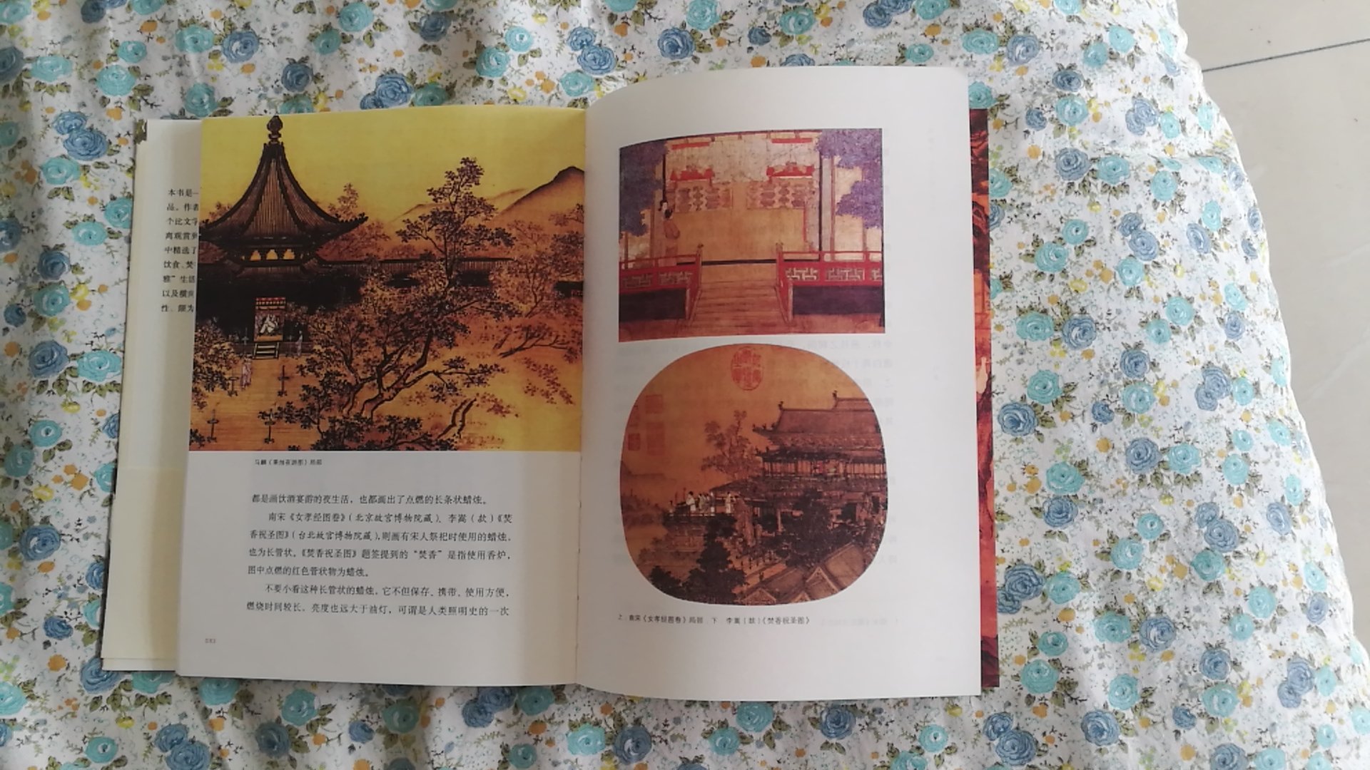 书中从：雅趣、社会、城市、商业和礼仪五方面详细介绍了大宋文化。图形并茂。让人全面了解中国历史的辉煌！值得阅读！另外装订的也不错！