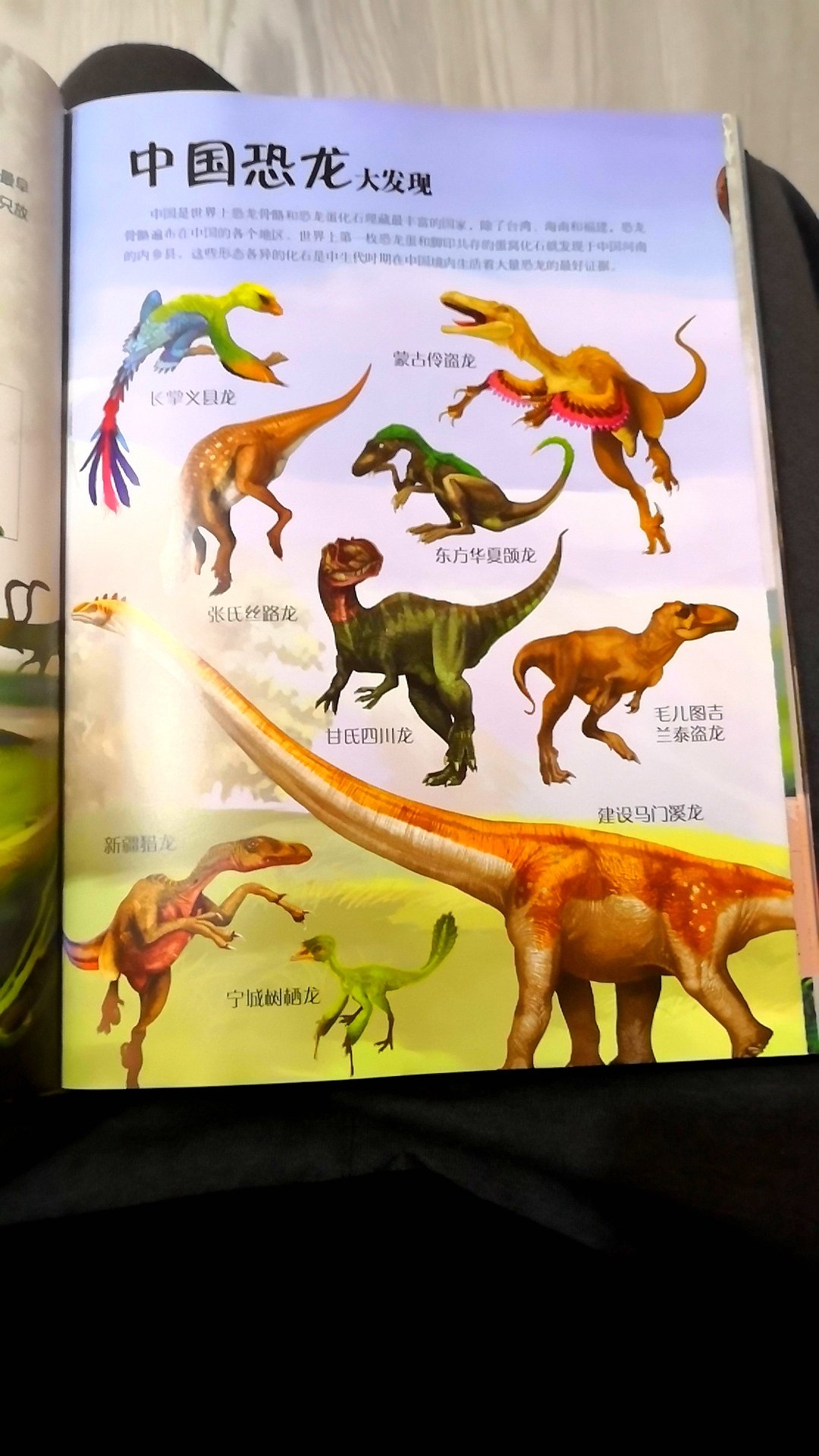宝宝喜欢恐龙，就干脆来个全的，多见识各种各样的恐龙。