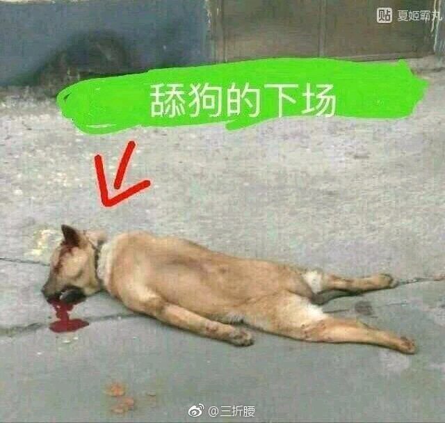 我觉得这本书很不错 我要十个字以上哈