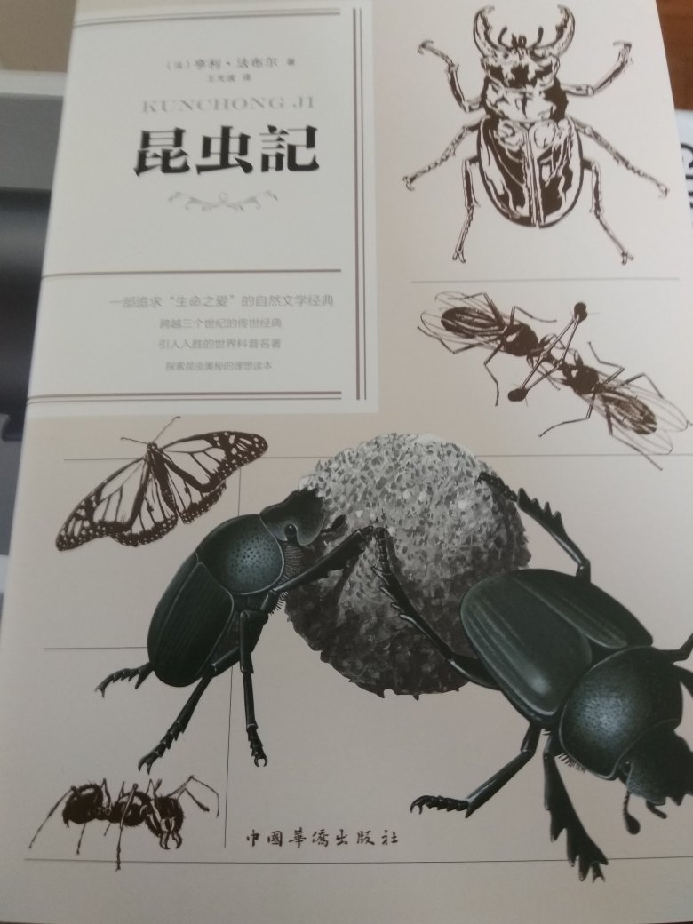 喜欢昆虫，就买了这本书，动物的世界，惊奇太多，很多高手特技，确实是自然的精灵，作者能观察得如此细致入微，很是令人赞叹。