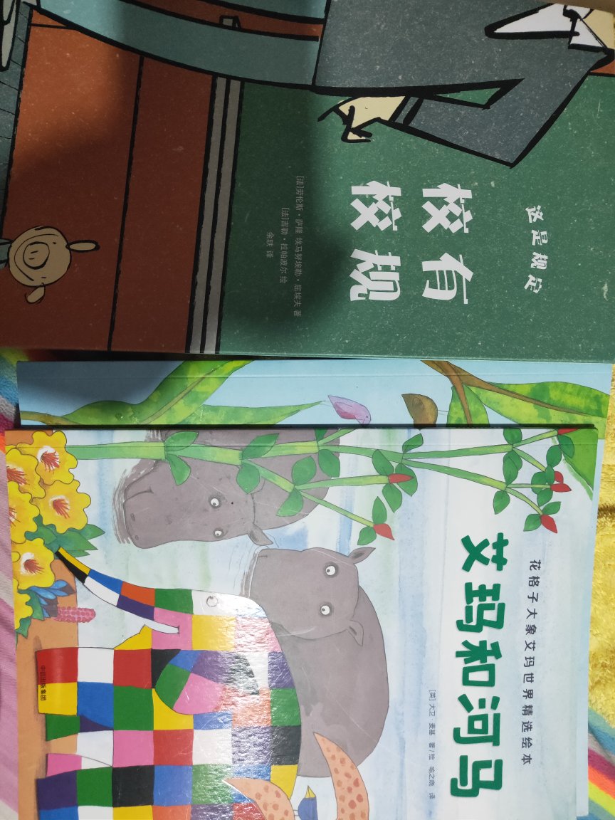 《花格子大象》很好看，纸张质量很好，大宝贝很喜欢，图画颜色鲜艳，色彩丰富。