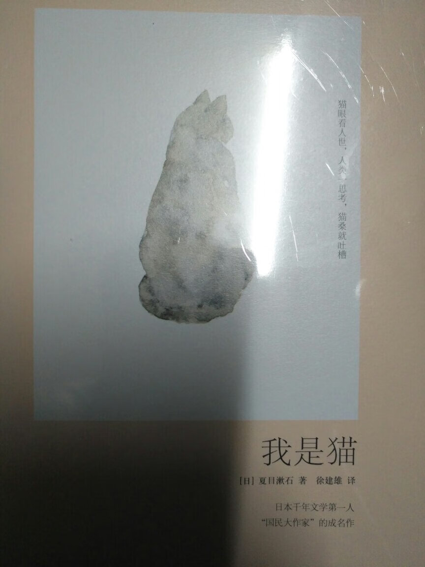 夏目漱石的经典了，便宜凑单用