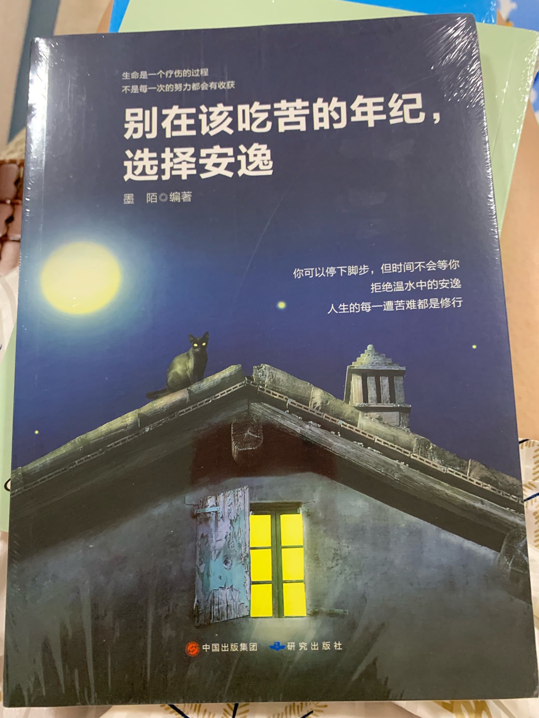 觉得这本书很适合现在的我