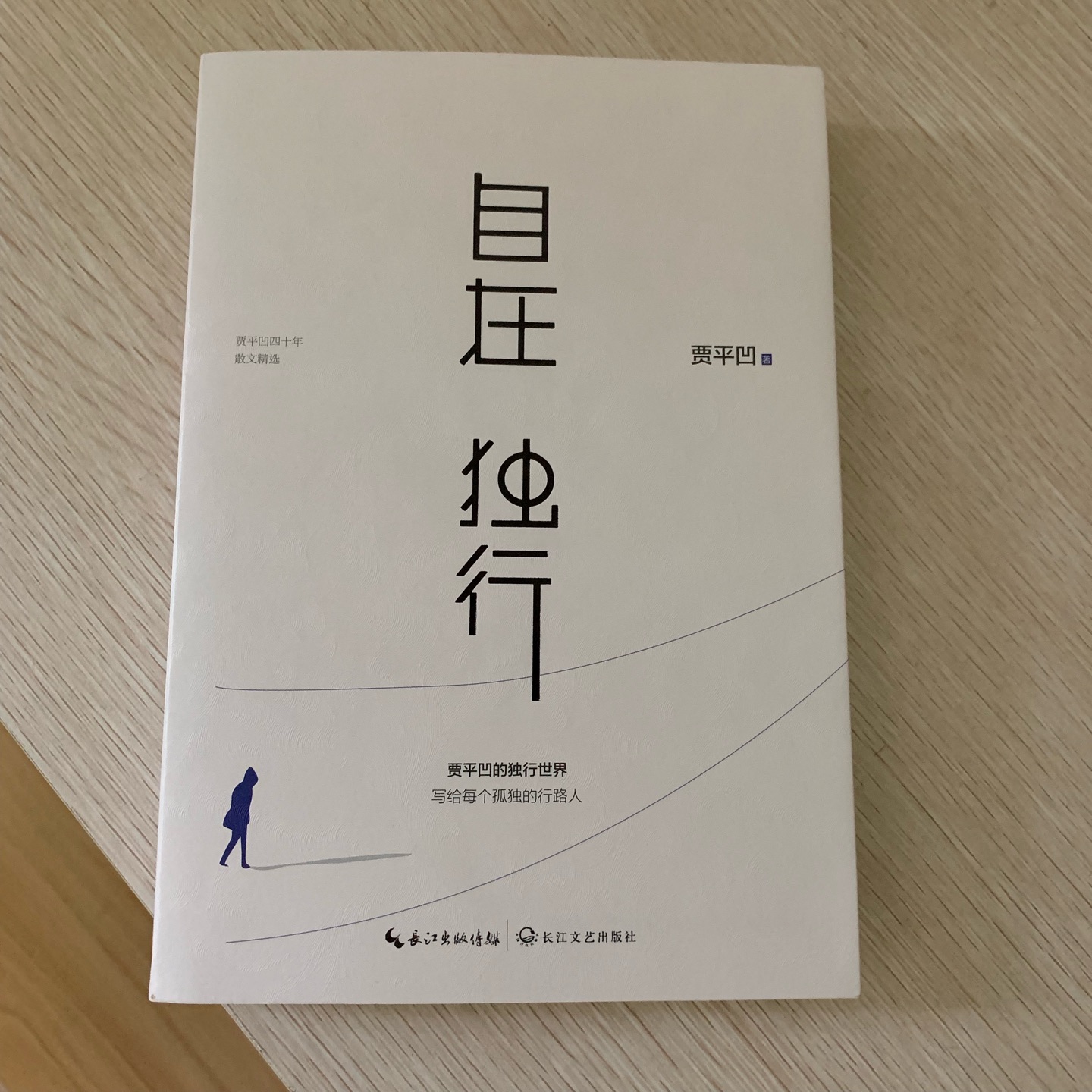 自在，独行~闲事感受下贾平凹的独行世界，孤独的行路人