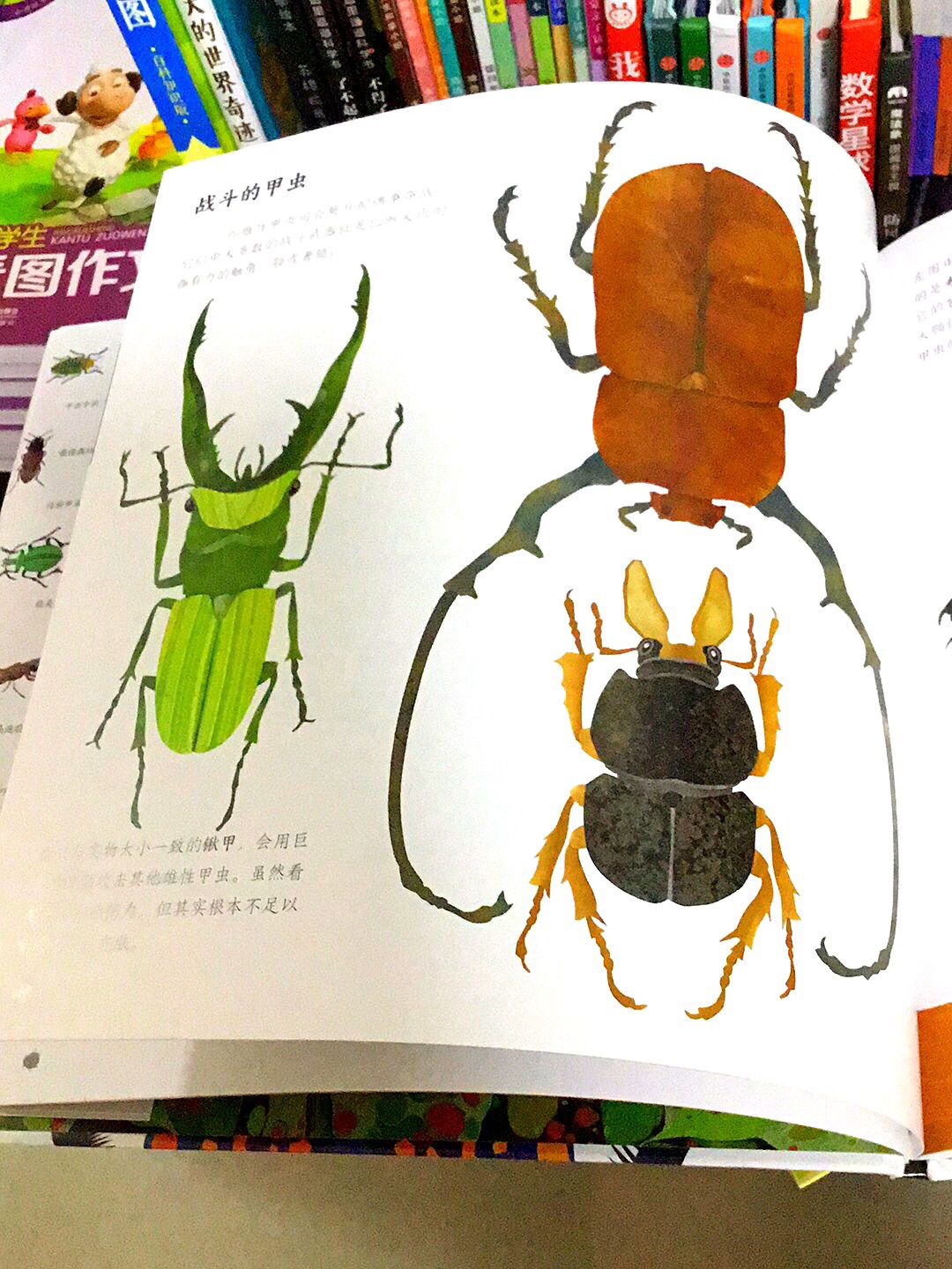 美国童书作家，插画家 詹金斯的这本《奇妙的甲虫》吸引眼球 趣味十足 非常有创造性 孩子比较喜欢