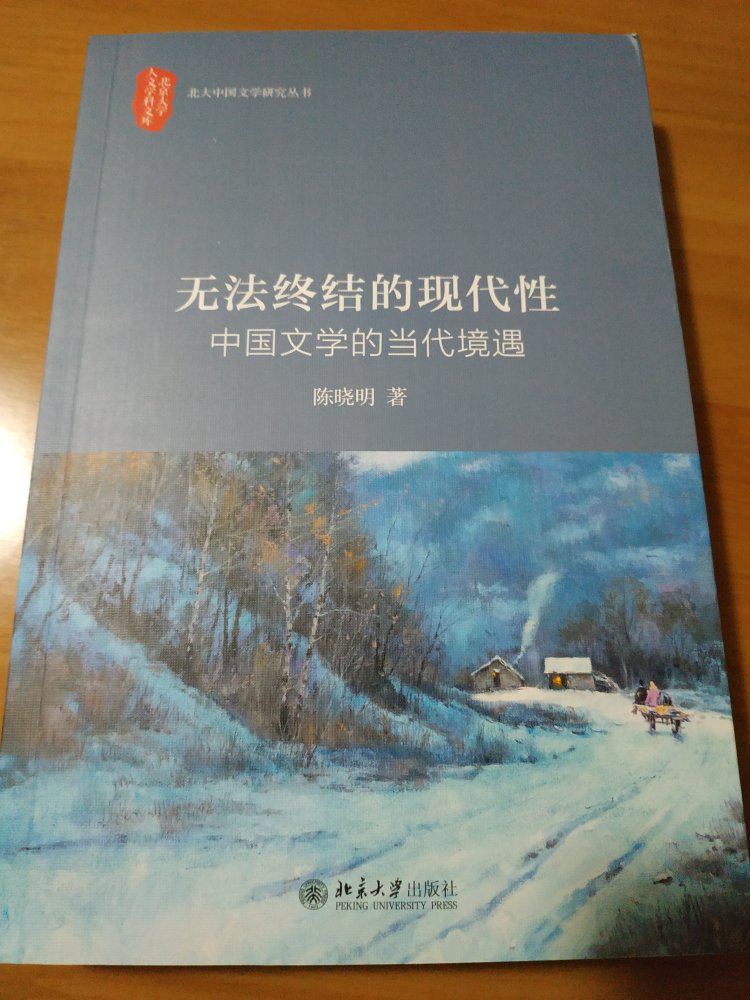 陈晓明先生的新作。内容其实是论文的合集。但主题还是相关的。陈老师的好处是成书时追求不重复，这一点大大的好。是对读者的尊重。