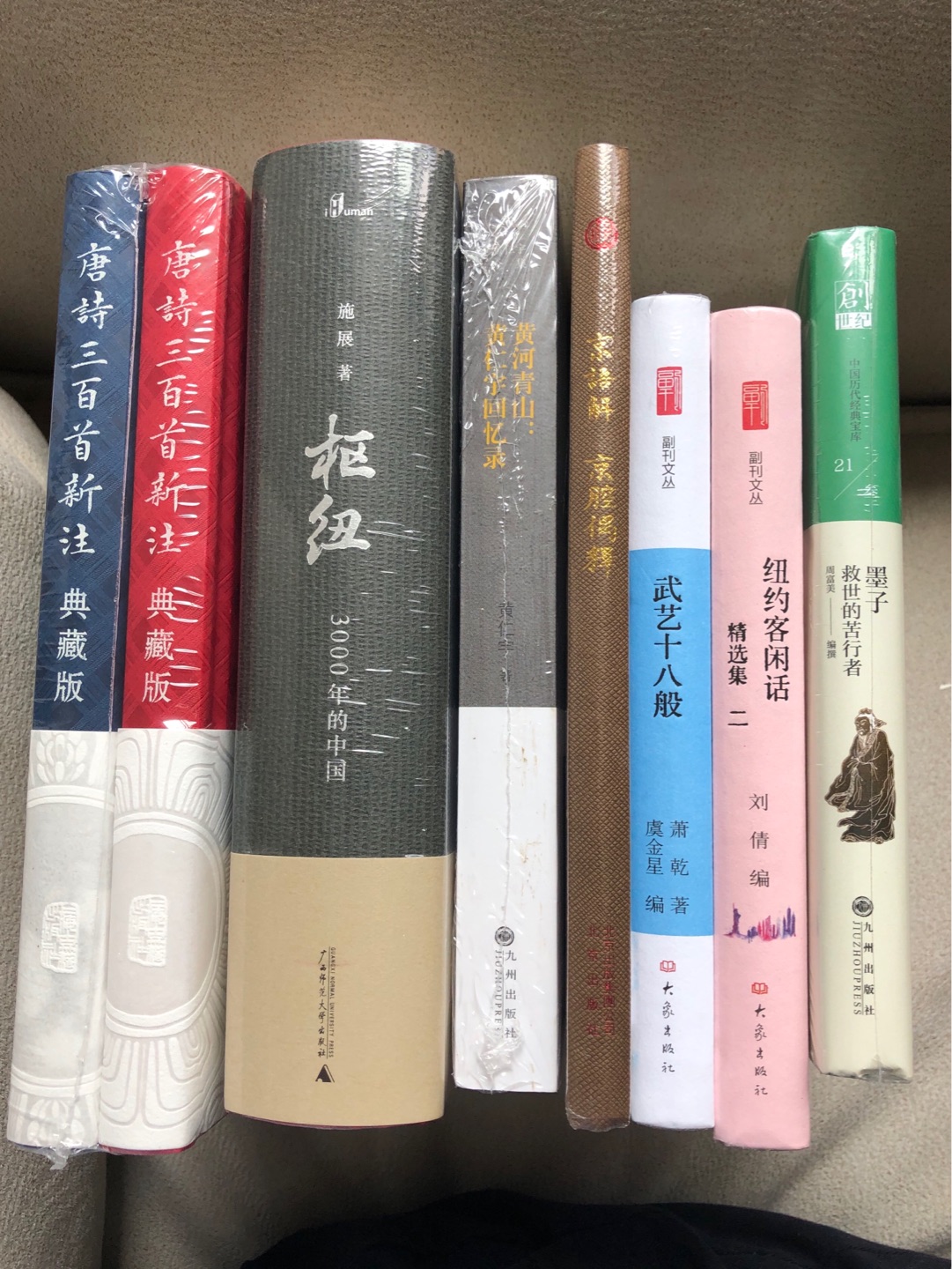 大象出版社出品，李辉主编的副刊文丛，陆陆续续收了不少本了。