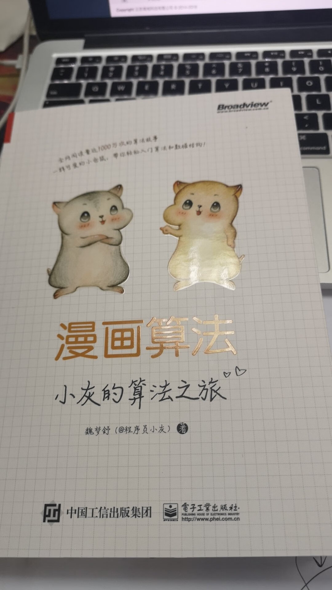 全彩印刷，漫画讲解，偏基础，讲的很白话，这用来入门和回顾基础真的无敌了。后面还有面试章节，要是大学也有这种书，我们恐怕都是小牛了。这个价格配合打折，小灰有点出血啊，哈哈啊哈！！！