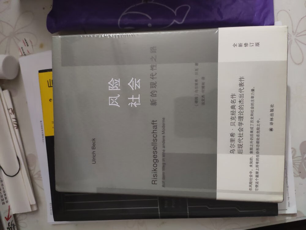 风险社会现代化之路，风险社会。