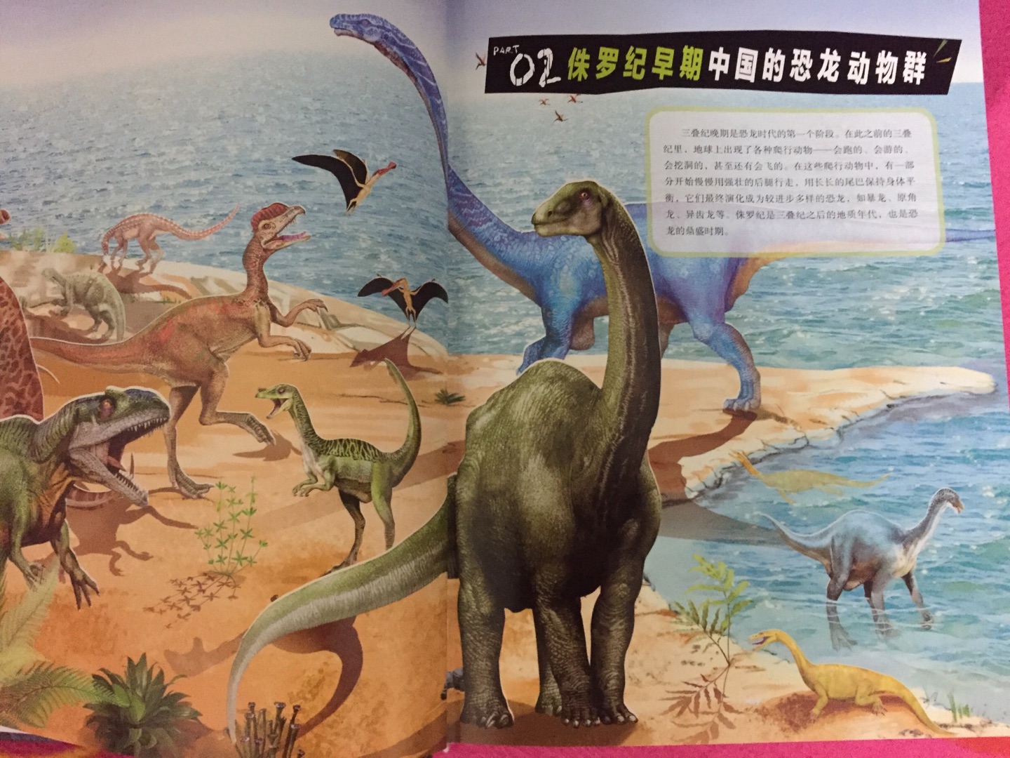中国恐龙百科全书由“中国恐龙之父”董枝明编著。书中栩栩如生地从恐龙的起源、发展、和灭绝的历程讲起，精选160余种中国特有的恐龙，按照不同的年代（侏罗纪、白垩纪）进行详细介绍，辅以精心绘制的插画，力求还原真实的中国恐龙面貌，让孩子了解中国独有的恐龙。书开头概述部分在时间轴上汇总了书中提到的恐龙，小朋友对这些恐龙出现的先后顺序可以一目了然。后面逐一对恐龙予以讲解，包括它们的分类、分布、特点、资料档案等，内容严谨又不失趣味，绝对是一本可以传承的好书。