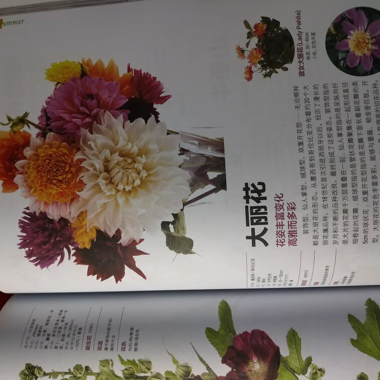 拥有这本书，可以更加了解花卉了，希望自己认真看完，去花鸟市场的时候，才能尽情买买买