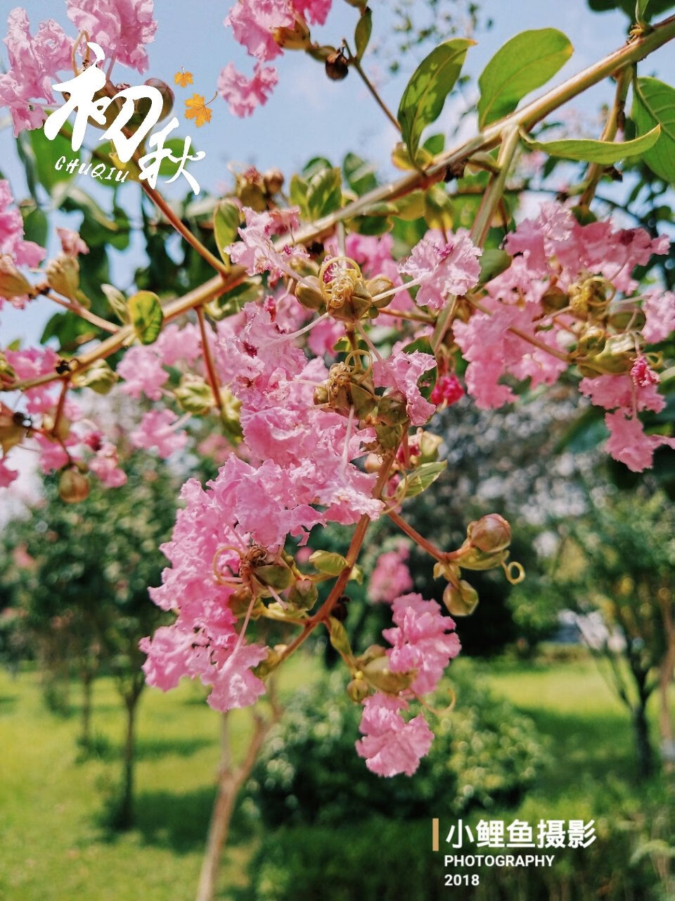 加油加油加油