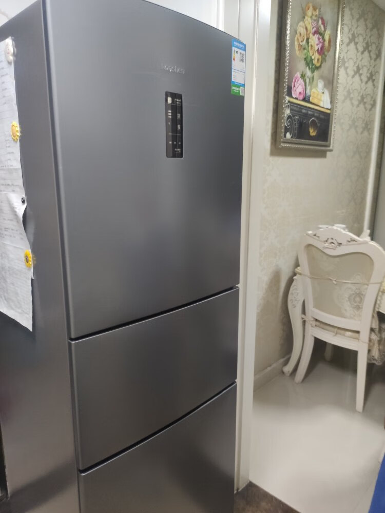 容声252升容声冰箱报价-zol中关村在线