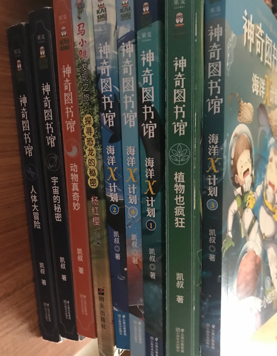 我们家孩子是凯叔讲故事的铁杆迷，听了APP不够，把书都收入囊中了. 希望凯叔出更多更精彩内容的书集.