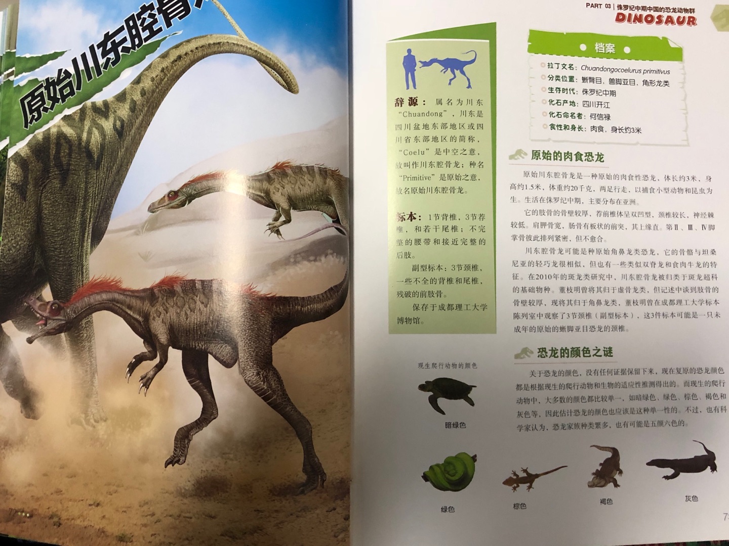 和宝宝一起阅读了《中国恐龙百科全书》，书本推荐阅读年龄7岁以上，我们年龄略小一些，但也不影响小恐龙迷的阅读兴趣。书中文字叙述不少，知识点丰富，对于低幼的我们来说有难度，家长可以简略阐述，通过大幅面的恐龙图像进行即兴讲解。这本书是以时间为主线，按五个不同时期铺开，详细介绍了曾经生活在我国的160多种恐龙，纵观全书，俨然一本字典类工具用书。书本不仅限于恐龙知识的介绍，也穿插了许多古生物学知识，横向知识扩展，让宝宝阅读的趣味性更浓。同时，个人也很推荐成年人以一本百科类图书的定位来阅读此书，在我国恐龙生物记载方面可以说是内容详实，全面，有一定的系统性，穿插的古生物学知识更能满足成人的思考需求。总之，这是一本适读年龄跨度大的书籍，推荐大家阅读。