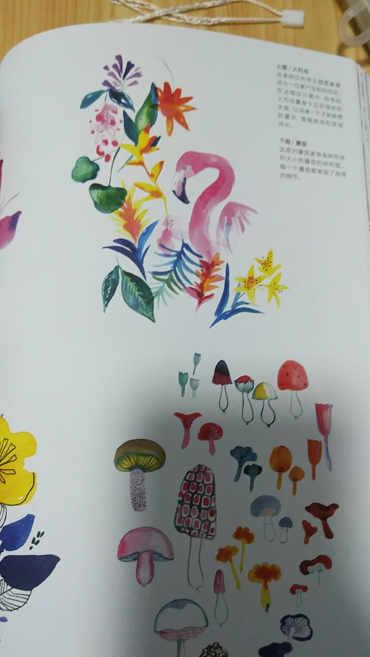 这本书意义在于汇集了多位画师不同风格的植物花卉的插画图案，不同的风格，很多的灵感，值得收藏、学习、借鉴