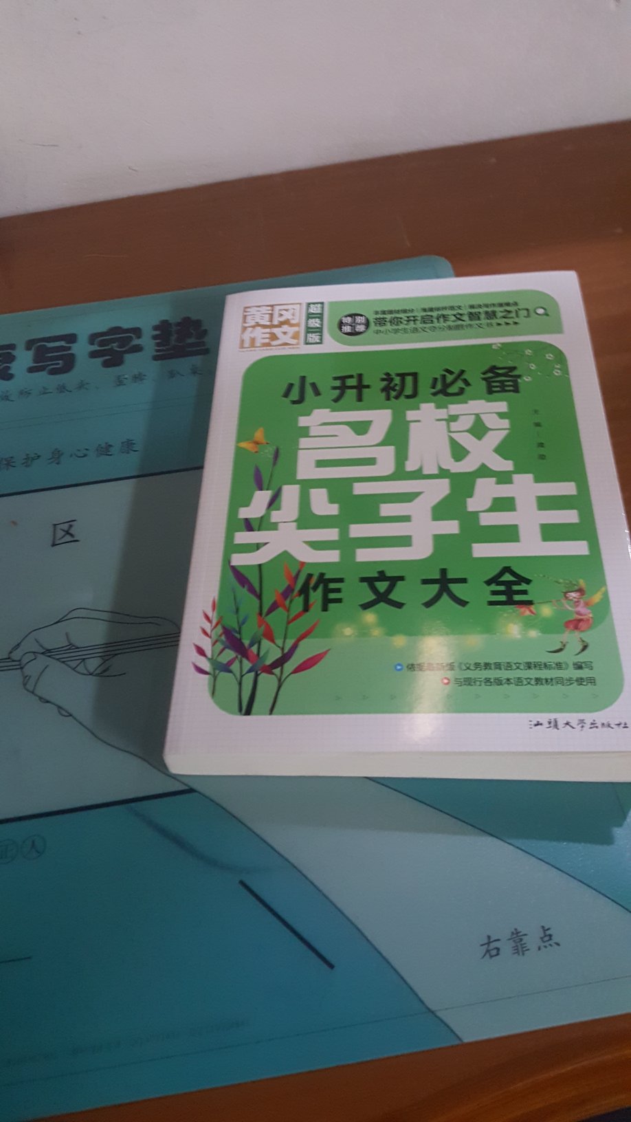 这是小升初的作文书，里面没有插画。我家孩子刚上3年级，可能还不是很适合他看。我看了一下觉得挺好，这本有很多不同类的作文很适合小升初的学生看，每篇作文不仅有名师精评，好的句子都有标记出来外加点评，这样对学习作文的学生有很好的帮助。