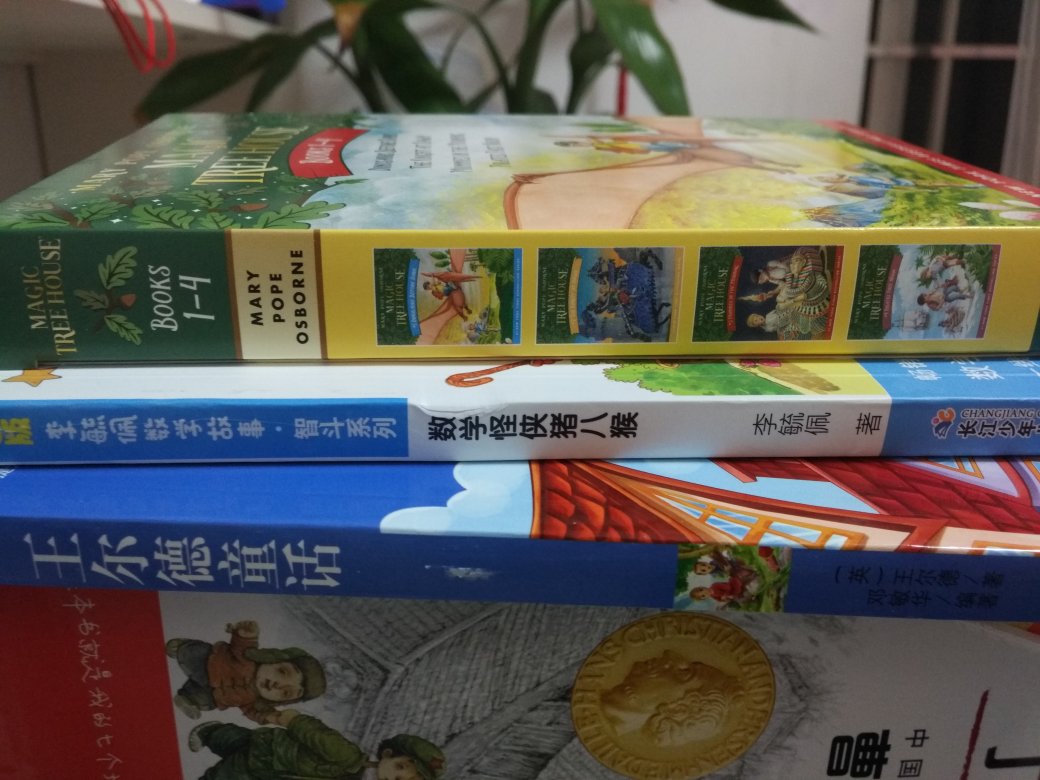 孩子最近很喜欢看这个作者的书，趁热打铁吧