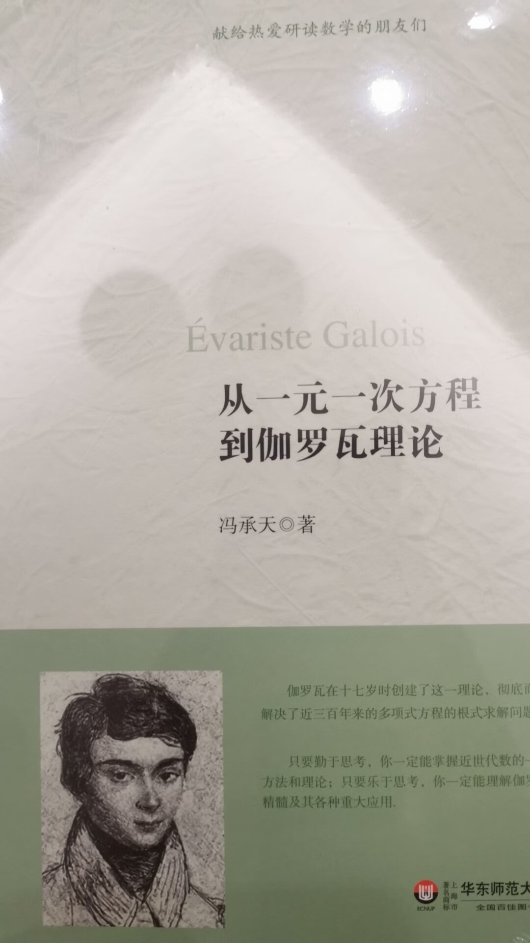 了解伽罗瓦理论的很棒的科普书籍 有些人真的比较适合写科普书籍