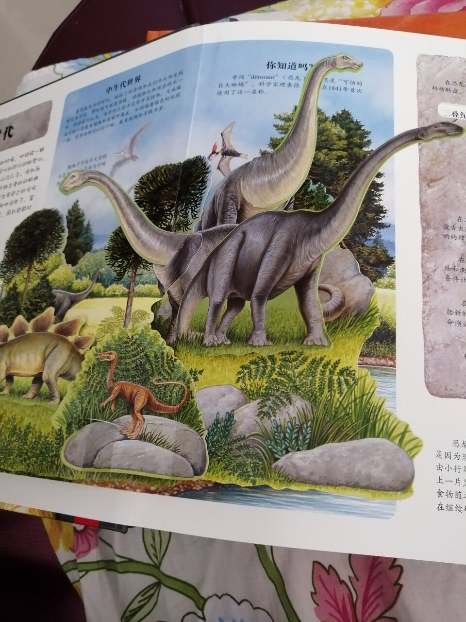超级震撼的恐龙立体书，喜欢?
