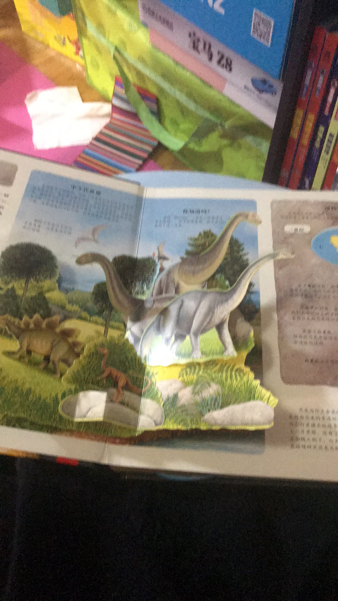恐龙系列，孩子都喜欢，买了很多恐龙的书了，这本立体的不错，立体感不错