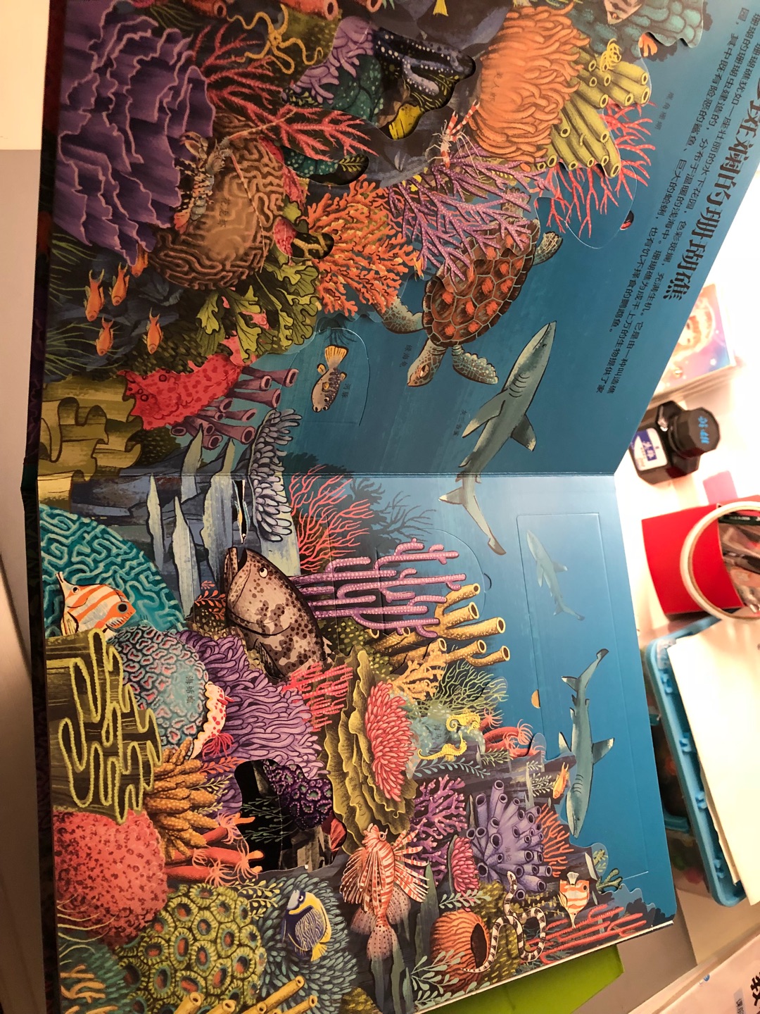 买书时凑单买的，不过书挺好的，里面还是设计成了立体折纸图案的那种，都是介绍海洋生物的，孩子挺喜欢的。
